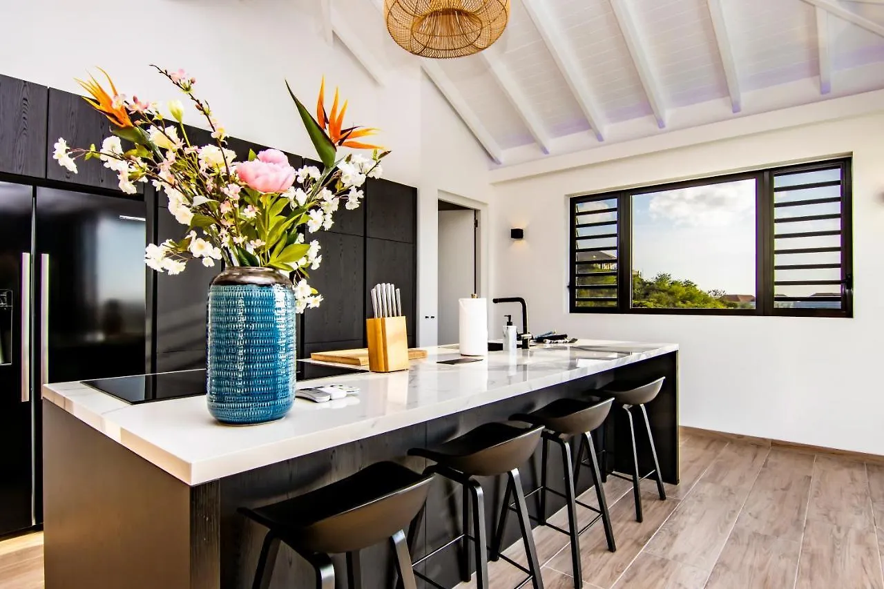Ocean Sunset Villa Luxury Stay Max. 14 People Dorp Dorp Sint Michiel