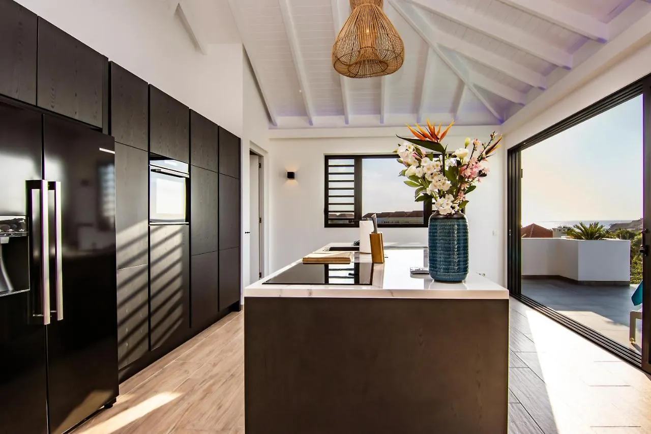 Ocean Sunset Villa Luxury Stay Max. 14 People Dorp Dorp Sint Michiel