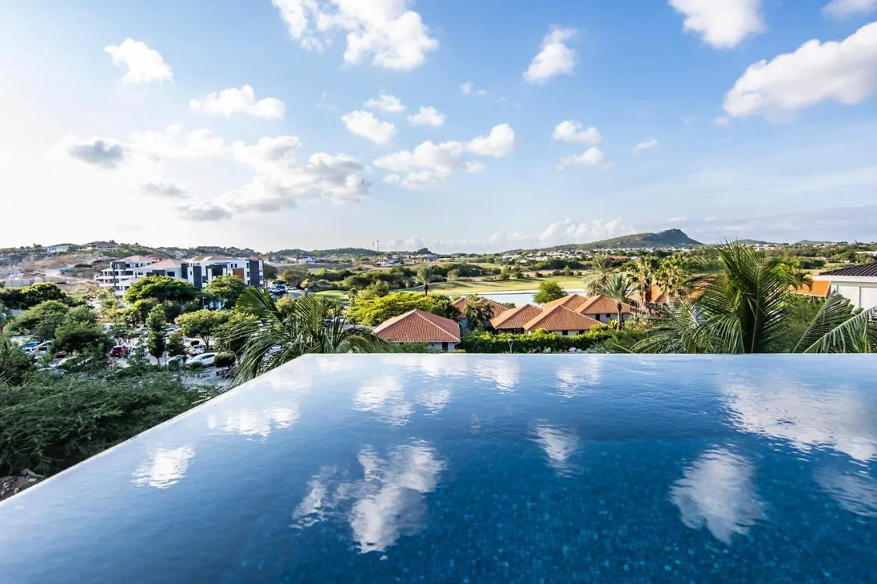 Ocean Sunset Villa Luxury Stay Max. 14 People Дорп-Синт-Михил 0*,